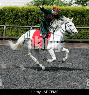 Mittelalterliche Ritter im Galopp sein Pferd Trooper Aktion Reiter Reiter Reiter Pferdesport ritterlichen ritterlichen errantly Speer Hecht Stockfoto