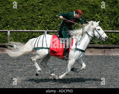 Mittelalterliche Ritter im Galopp sein Pferd Trooper Aktion Reiter Reiter Reiter Pferdesport ritterlichen ritterlichen errantly Speer Hecht Stockfoto