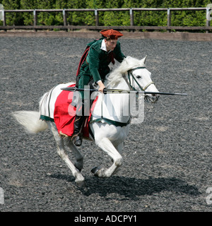 Mittelalterliche Ritter im Galopp sein Pferd Trooper Aktion Reiter Reiter Reiter Pferdesport ritterlichen ritterlichen errantly Speer Hecht Stockfoto