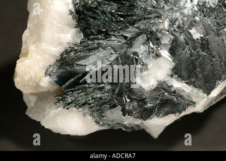 Mineral Hämatit, Variante Specularite, Specularite Platten in weißem Quarz, Wyne Strang, Dingle, County Kerry, Irland Stockfoto