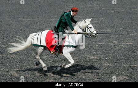 Mittelalterliche Ritter im Galopp sein Pferd Trooper Aktion Reiter Reiter Reiter Pferdesport ritterlichen ritterlichen errantly Speer Hecht Stockfoto