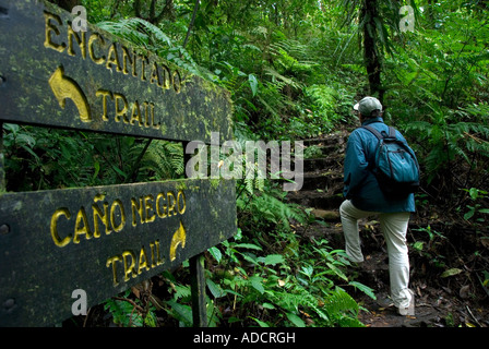 Trekking in Santa Elena (Monteverde) Cloud Forest Preserve. Provinz Puntarenas, Costa Rica.Central Amerika Stockfoto