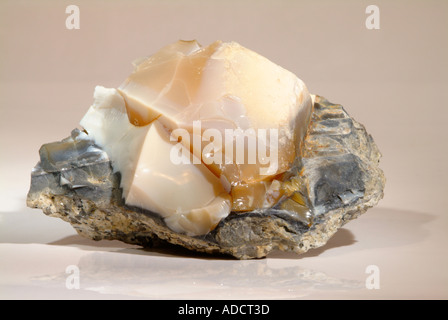 Mineral Opal, gross, orange mit Übergängen zu milchig weißen sitzen auf einer blau-schwarzen Base Layer. Matrix Granit. West Carclaze Grube, St. Austell, Cornwall, England Stockfoto