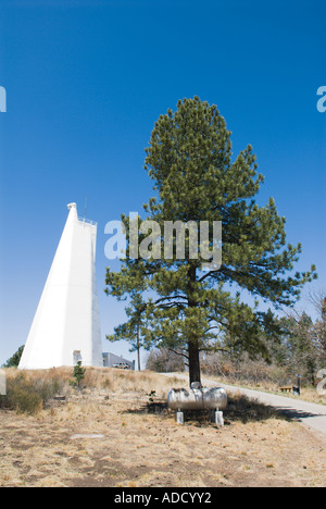 Dunn Sonnenteleskop mit Kiefer an das National Solar Observatory Stockfoto