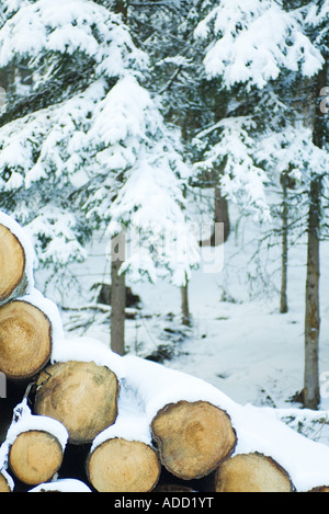 Stapel Brennholz im Schnee Stockfoto