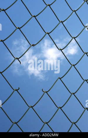 ein Loch in das Drahtgeflecht Stockfoto