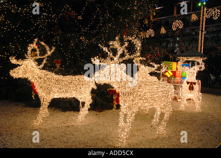 Weihnachts-Szene in George Square. Beleuchtetes Rentier ziehen Schlitten voller Geschenke, Heiligabend, 06. Glasgow, Schottland. Stockfoto