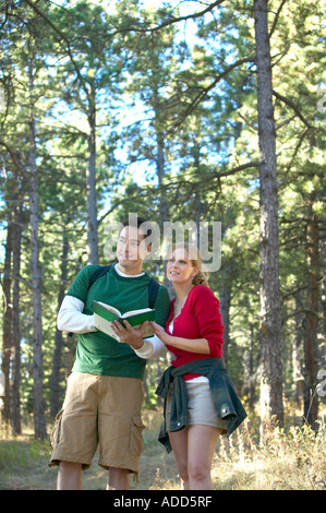 Caucasian Paar konsultieren Ratgeber beim Wandern durch Kiefern am Lehrpfad Stockfoto