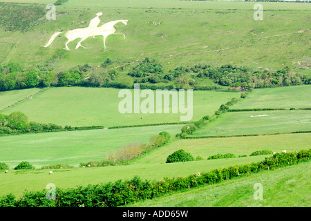 Berühmten weißen Pferd geschnitzt in den Kalkstein-Hang in der Nähe von Osmington Dorset gegenüber Weymouth Bucht Stockfoto