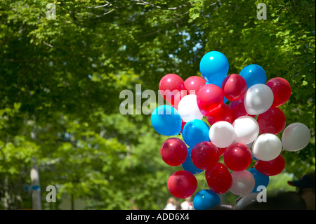 Große Haufen von rot weiß und blau Heliumballons gegen eine leichte gefleckte grüne Überdachung der Baumblätter Stockfoto