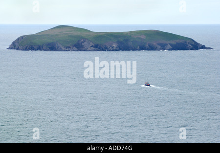 Blick auf die Cardigan Insel aus Mwnt Pembrokeshire West Wales UK Stockfoto