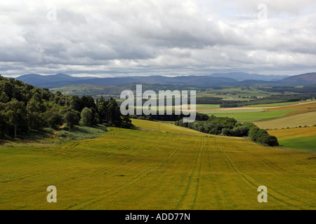 Die Queen-Blick in der Nähe von Tarland, Aberdeenshire, Schottland, UK, mit Blick auf Lochnagar, Morven und Mount Keen. Stockfoto