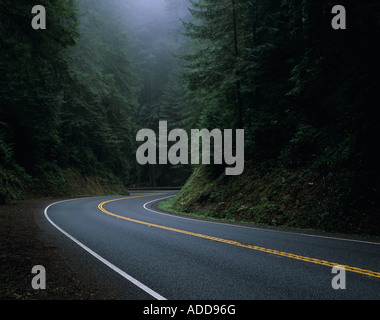 Highway 199 geschwungene durch Jedediah Smith Redwoods Redwoods National Park Nord Kalifornien USA Stockfoto