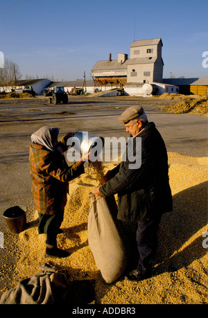 Pensionierte Kollektivmitglieder, die ihre Rente in Getreide im Kollektivkongressbetrieb 21. in der Nähe von Donetske, Ostukraine, erhalten, Oktober 1989. Stockfoto