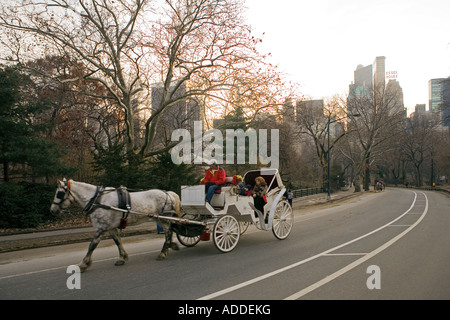 Central Park in Manhattan New York City USA Stockfoto