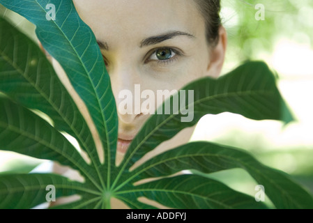 Frau auf der Suche durch Blätter der Maniok-Zweig, Nahaufnahme Stockfoto