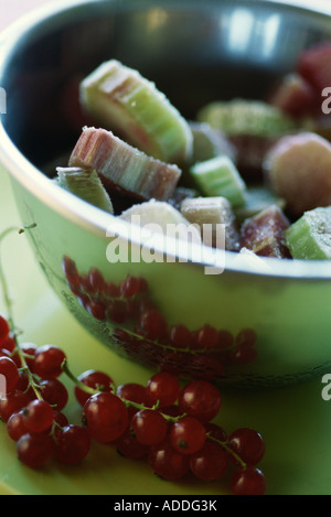 Rhabarber in Schale und roten Johannisbeeren Stockfoto