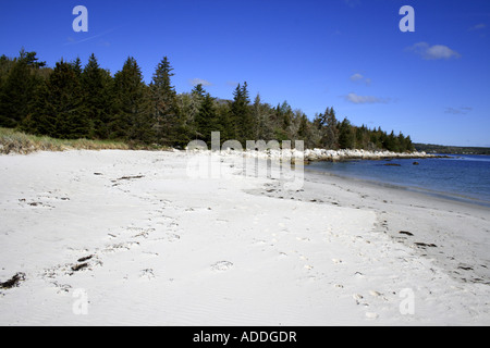 Carter's Beach, Nova Scotia, Kanada, Nordamerika. Foto: Willy Matheisl Stockfoto