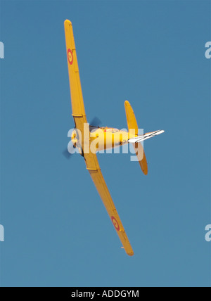 North American T 6 Texan USA 1938 während eines FIO-Flug-Ausstellung Stockfoto