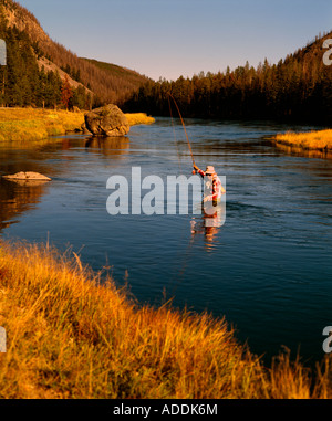 Fischer auf der Madison River einer der Blue Ribbon Forellenbächen im Yellowstone National Park in Wyoming zu fliegen Stockfoto