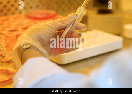 Laborantin arbeiten bei einem Forschungslabor Stockfoto