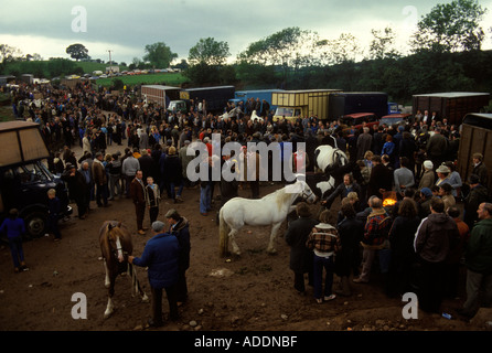 Pferde Appleby Gypsy Fair Händler, die Pferde verkaufen. Pferde zum Verkauf zu verkaufen. Appleby in Cumberland 1980er England. HOMER SYKES Stockfoto