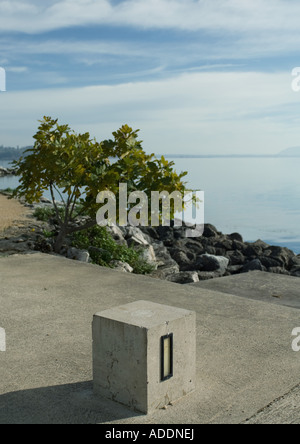 Zement-Block in der Nähe von Rand des Sees Stockfoto