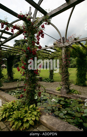 Der Edwardian Pergola, West Dean Gardens, Sussex, UK Stockfoto