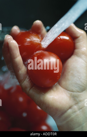 Tomaten gespült Stockfoto