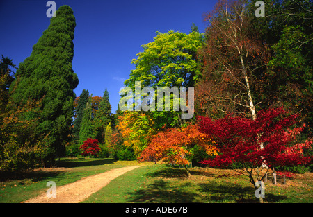 Herbstfärbung zündeten Arboretum 1 Stockfoto