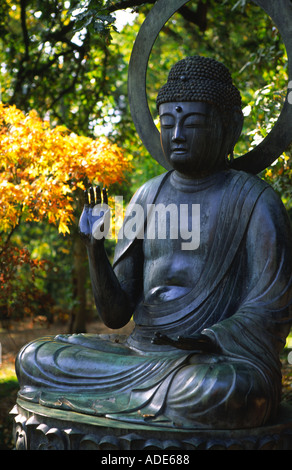 Buddha der Wälder zündeten Arboretum 1 Stockfoto