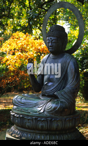 Buddha der Wälder zündeten Arboretum 2 Stockfoto