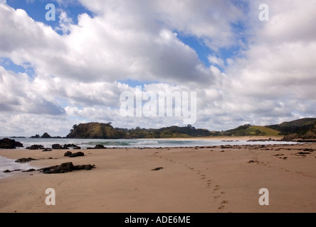 Böse Wolken über der feine Sandstrand Strand von Mimiwhangata in Northland, Neuseeland. DSC 8926 Stockfoto