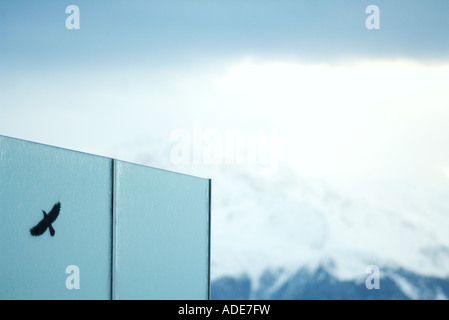 Schatten des Vogels an Wand, Schnee bedeckte Berge im Hintergrund Stockfoto