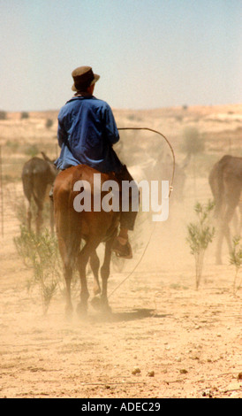 einsamer Reiter auf der Suche nach seinem Vieh Kalahari-Wüste in Südafrika Stockfoto