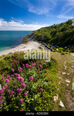 Dorset liegt auf der östlichen Seite von Portland, Kirche Ope Cove, einer ziemlich einsamen Bucht mit einem felsigen Strand. Stockfoto