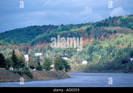 Herbstfarben in einem Mischwald auf den Hügeln mit Blick auf den St. John River bei Perth Andover New Brunswick, Kanada Stockfoto