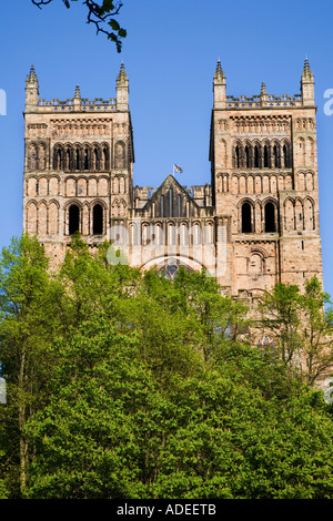 Kathedrale Kirche von Christus gesegnet Maria, der Jungfrau Maria und St. Cuthbert Durham, England Stockfoto