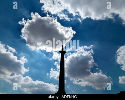 Nelson Säule, Trafalgar Square, London Stockfoto