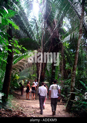 Belize. Menschen zu Fuß der Tiger farn Trail durch den tropischen Cockscomb Basin Wildlife Preserve. Stockfoto