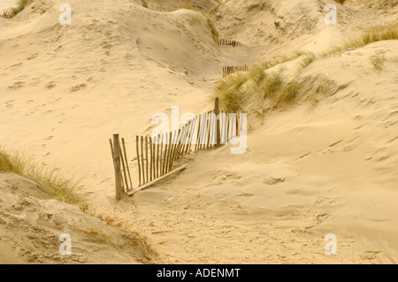 Erasion Schutz Zäune in den Dünen am Camber Sands Roggen East Sussex England Stockfoto