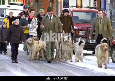 David Davies Hunt Pack von Fox Hounds sammeln für die jährliche Boxing Day treffen in Llanidloes Powys Mid Wales UK Stockfoto