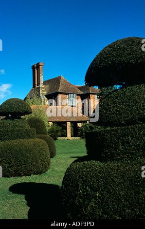 Westlichen Ende des Great Dixter, Northiam, East Sussex, ein C15th Fachwerk-Saal mit Formschnitt Eiben im Vordergrund. Stockfoto