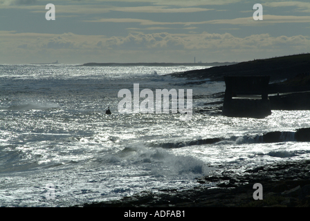 Rough Sea Silhouette in Morgensonne bei Craster Hafen Northumberland England Vereinigtes Königreich UK Stockfoto