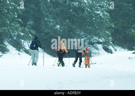 Langläufer im Schnee Stockfoto