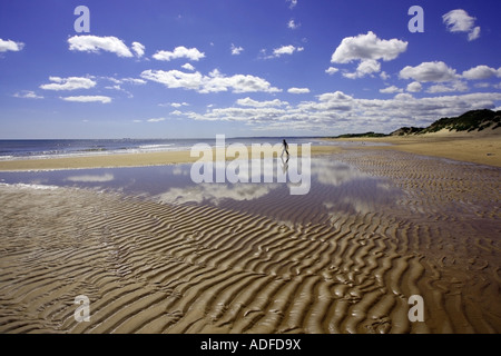 Balmedie Strand in der Nähe der Sanddünen der Menie, Aberdeen, Schottland, UK Stockfoto