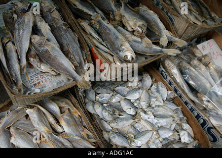 Boxen mit getrocknetem Fisch zum Verkauf auf einem Straßenmarkt in Hongkong, China. Stockfoto