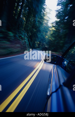 Highway 199 geschwungene durch Jedediah Smith Redwoods Redwoods National Park Nord-Kalifornien in der Nähe von Crescent City, Kalifornien USA Stockfoto