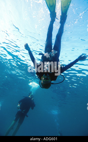 Junge Taucher Upside-down Dahab Sinai Rotes Meer Ägypten Lukas Hanna PADI Junior Open Water Kurs Kind 10 Jahre 13 Jahre alt Stockfoto