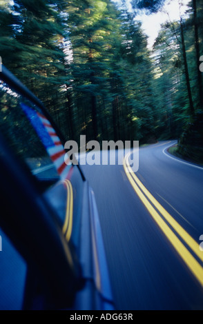 Highway 199 geschwungene durch Jedediah Smith Redwoods Redwoods National Park Nord-Kalifornien in der Nähe von Crescent City, Kalifornien USA Stockfoto